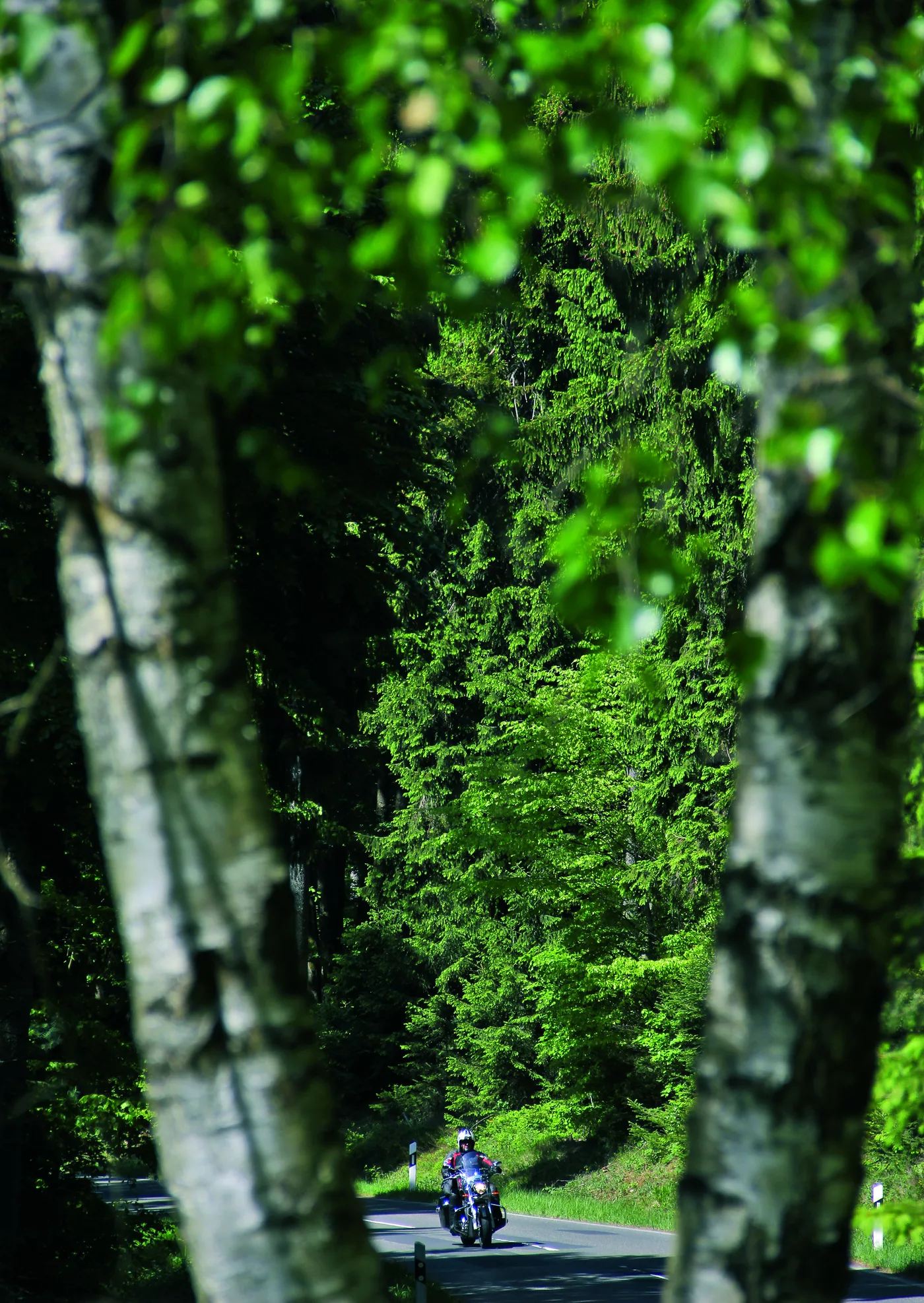 Motorrad auf einer Waldstraße zwischen hellen Birkenstämmen im Spessart Motorrad auf einer Waldstraße zwischen hellen Birkenstämmen im Spessart